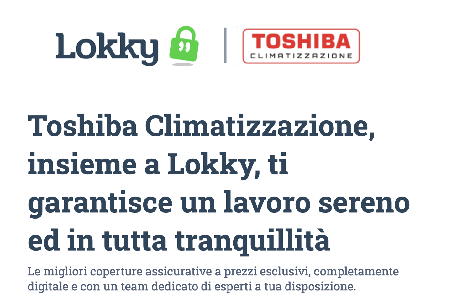 Lokky e Toshiba insieme per tutelare  professionisti ed installatori