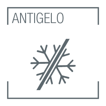 Antigelo