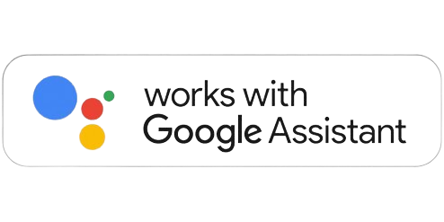 Google Assistant