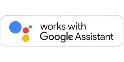 Google Assistant